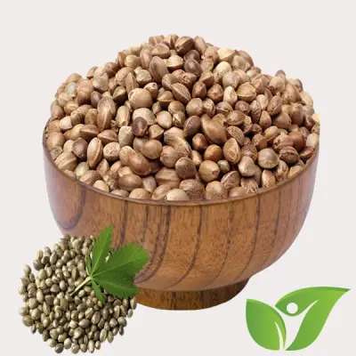 Hemp Seeds - சணல் விதை